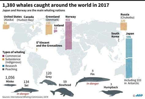 Which countries are members of the International Whaling 